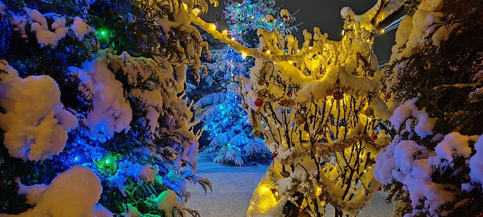 فيلا Eden Garden سوفاتا المظهر الخارجي الصورة