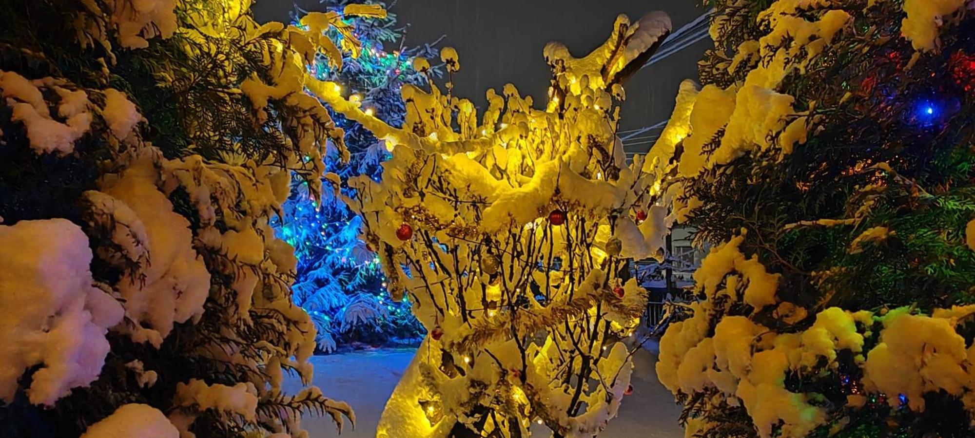 فيلا Eden Garden سوفاتا المظهر الخارجي الصورة
